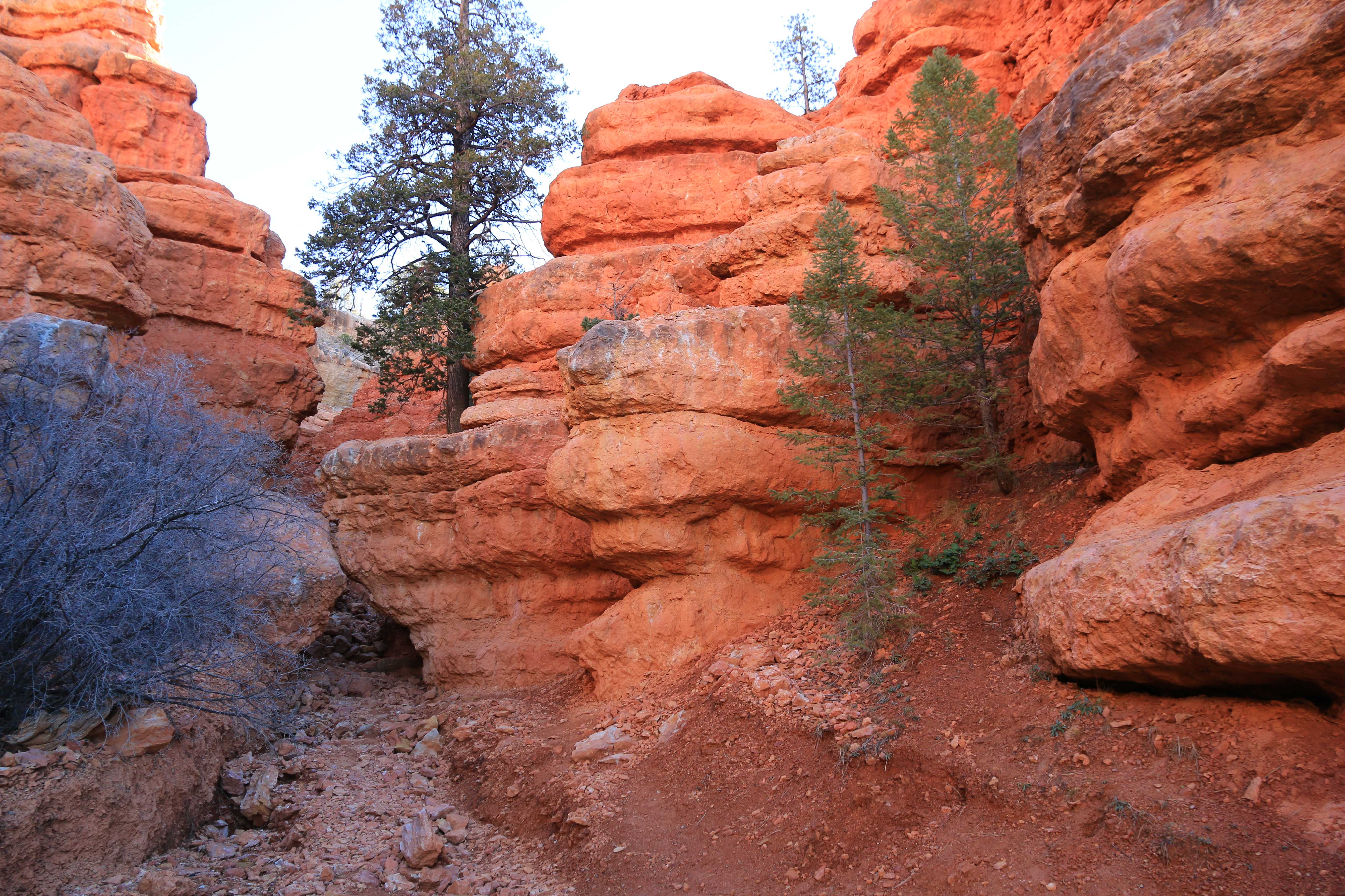 Red Canyon